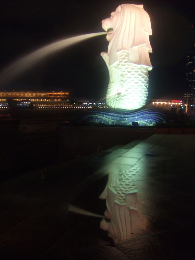 偶然見つけた！！<br /><br />「水たまりに逆さマーライオン。」