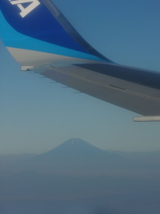 【帰国日】<br />帰りの飛行機、富士山みっけ！<br /><br />「ただいまー。」