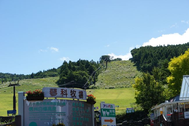 蓼科 女神湖 車山高原 残暑からの逃亡旅行 白樺湖 蓼科 車山 長野県 の旅行記 ブログ By おるがんさん フォートラベル