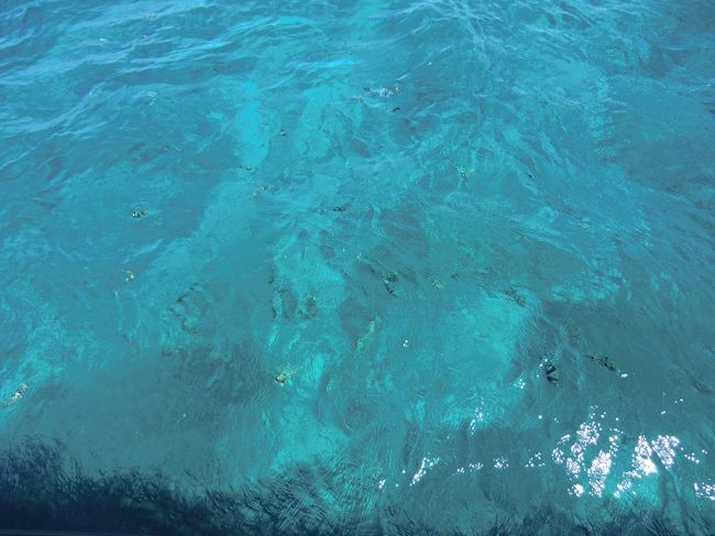 今回4回目の9/12〜9/15<br />飛行機乗り遅れは初めてではありませんが、やはりびっくり！！<br />急遽スカイマークでチケット購入し、無事に予定通りの日程をこなすことができました<br /><br />4回ともマイル利用の航空券で行ってきましたが、今回乗り遅れた行きのマイルの有効期限が12/1まで<br />今回で今季沖縄は終了の予定だったんですが、どうやらあと1回行かなければならないようです(笑)<br />沖縄大好きやめられないなぁ<br /><br /><br /><br />〜完〜