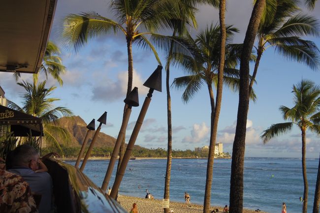 夜ご飯はフラグリルへ<br /><br />もう何回来てるの！？<br /><br />って感じなので<br /><br />店員さんが覚えていてくれました♪