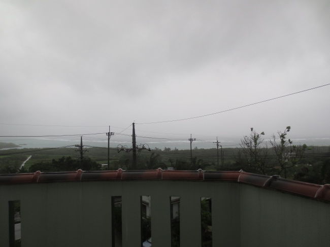 前日までと同じように、起きてすぐ外を見る。<br /><br />夜は強風でうるさいかと思っていたけど、結局そうでもなかった。