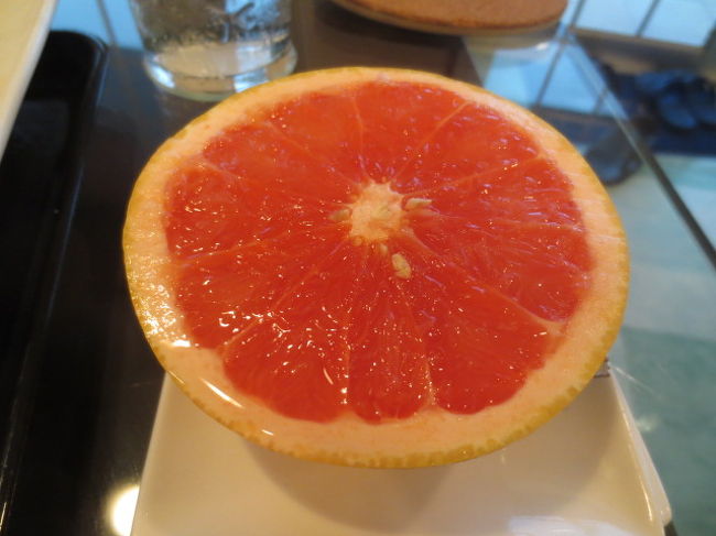 グレープフルーツ<br /><br />もともと最後の夜は街のホテルに宿泊する予定だったんだけど、こちらのペンションでもう1泊お世話になることにした。朝食後、ペンションの電話をお借りしてキャンセル。台風が理由だからキャンセル料はかからない。