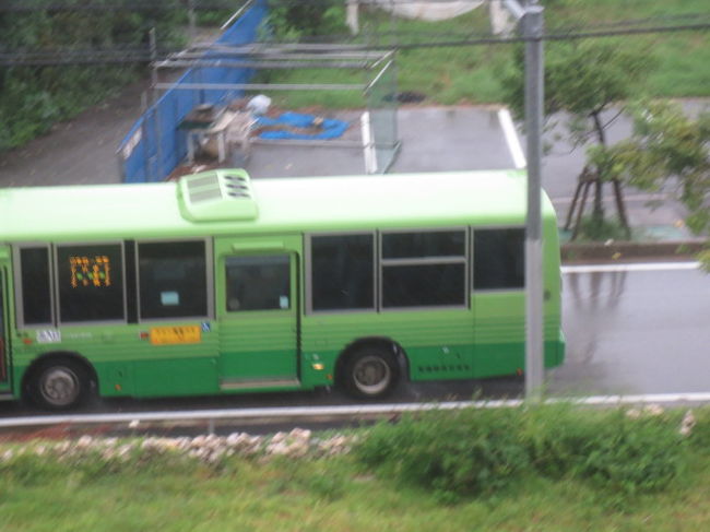 4日目は8時41分発のバスは乗らずに部屋から見送った。<br /><br />この日、オーナーは石垣の街へ買い出しに行ったらしいけど、店という店は閉まっていたらしい。