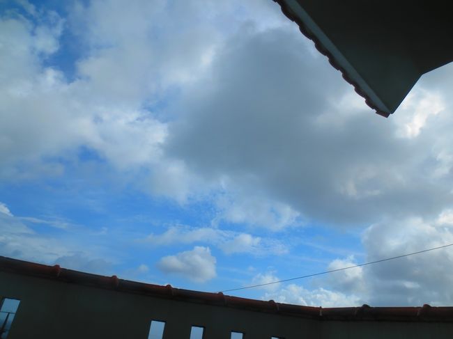 ハンモックに寝転がって見えた空。