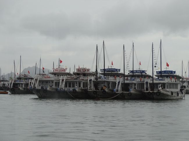 ハロン湾の日帰りツアーに参加。英国人2名,ロシア人2名,日本人2名,マレーシア人1名,韓国人3名,残り12名はベトナム人でした。<br />私はツアー参加をホテルのフロントに申し込んだ所40ドル。神奈川の日本人学生は街のツアー・インフォメーションで申し込んみ35ドルとのことでした。<br />ハノイからマイクロバスで4時間 12:45 ハロン湾のクルーズ船乗り場に到着。(途中トイレ休憩30分)<br />ハロン湾には非常に多くのクルーズ船が係留されていました。