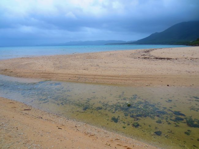 しばらく行くと、川が流れていた。<br /><br />大雨で増水しているようだった。とても飛び越えられる距離じゃない。<br /><br />走り幅跳びなんか何十年もしていない。どうしよう？