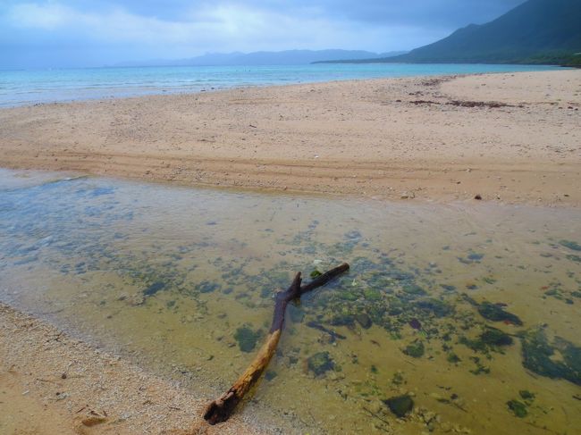 大きな枝を発見し、それを川に横たえる。<br /><br />枝伝いに前進し、ひとっ飛び！<br /><br />のつもりが思いっきり足が川に入ってしまった。<br /><br />防水の靴だったけど、靴の中までびしょびしょ。<br /><br />この時点で帰りの飛行機はサンダルで搭乗することに決定。