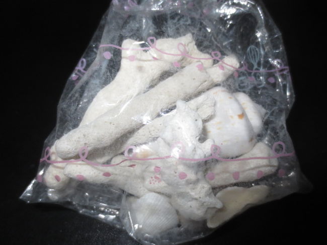 （5）珊瑚や貝<br /><br />ペンションで購入した珊瑚や貝。珊瑚は浜に打ち上げられた死骸を拾い、漂白したもの。箸置きやインテリアに使用。きっとオーナーご家族が浜を散歩しながら拾ったものだと思う。島たいむに泊まった記念として買った。