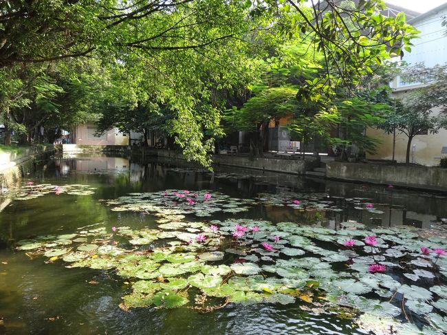 その先に池が有りました。<br />これが「地球の歩き方」Ｐ280の地図の池です。<br />地図はバス停まで直線のように見えますが、実はＴ字路を曲がりました。