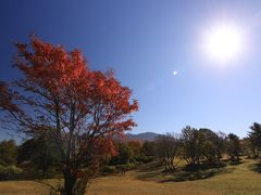 空港から市街地をぬけ、約40分ほど走ったところにある萱野高原。
北八甲田連峰が一望できます。

