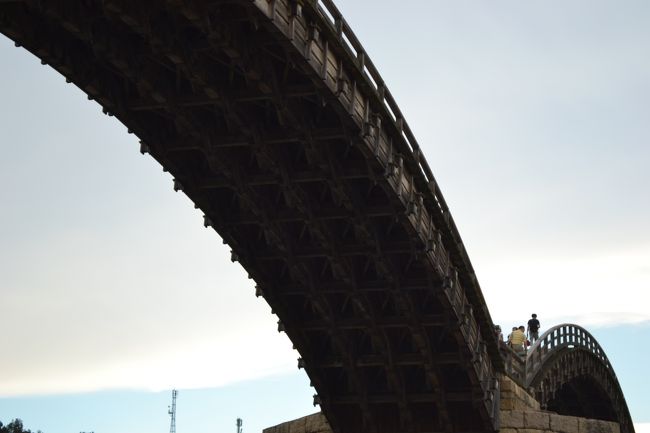 裏から見ると木を編みこんでいるようになっています。