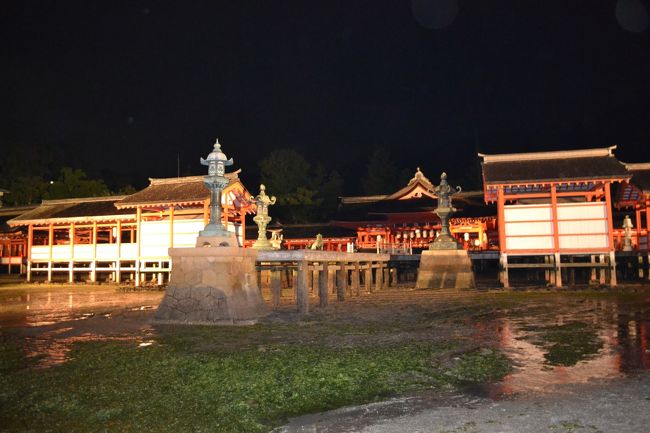 今の時間は干潮だったらしく、<br /><br />下に降りることができました♪<br /><br /><br />厳島神社のライトアップは今まで見てきたものの中で<br /><br />１番感動しました…。 