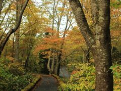 山、林、沼、それぞれの場所で自然が創り出した美しい秋の風景に出会え、感動・感激の１日となりました。

このあとは奥入瀬渓流の秋を満喫しに行きます！