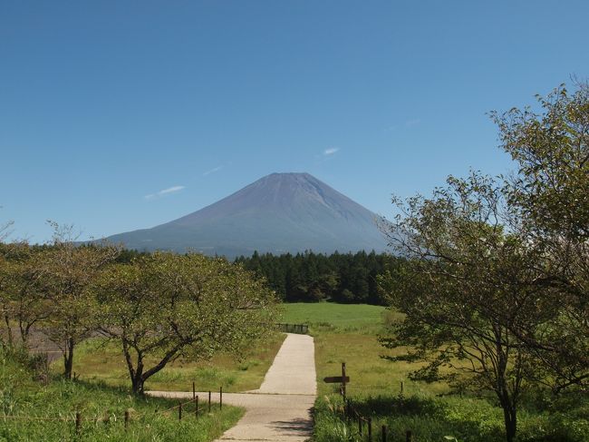 本栖湖へ行く途中に寄った「道の駅朝霧高原」