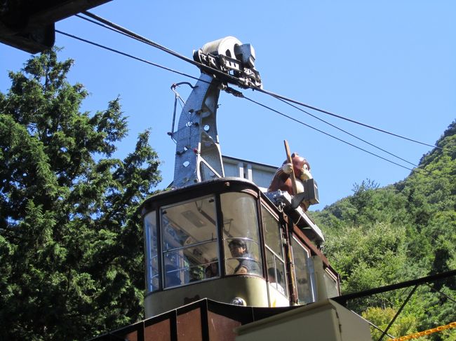 カチカチ山と言えばタヌキ