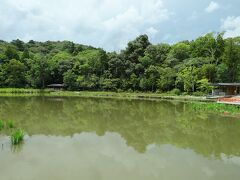 去年完成した「せんぐう館」からの眺め

せんぐう館では、神宮の歴史や遷宮についての理解を深められます。
実物大に模造された外宮正殿は迫力あり、檜の香りで心落ち着き、特に素晴らしかったです。