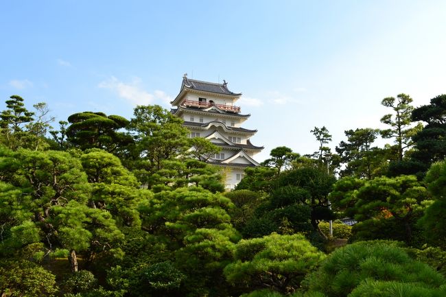 庭園から福山城をパチリ！<br /><br />さっきまで天気が悪かったのですが、<br /><br />すっかり透き通るような空！ 