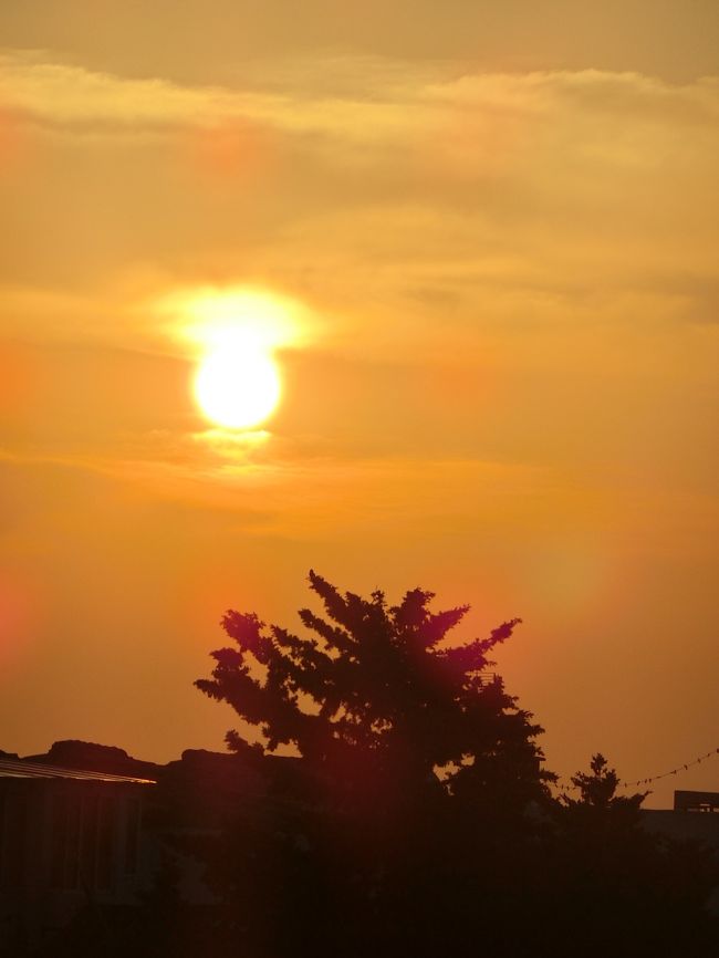 おお、綺麗じゃ〜<br /><br />別のお部屋でシャワー中だったしっぽさんにも声をかけ、しばし撮影タイム！