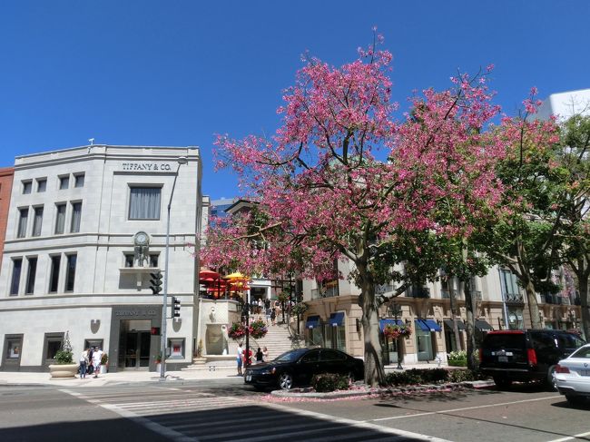 すると、おおーーー！このティファニーは！！！<br />なんかガイドブックで見たことあるよ！の<br />お店が見えてきました。有名な階段も登ってみたり。