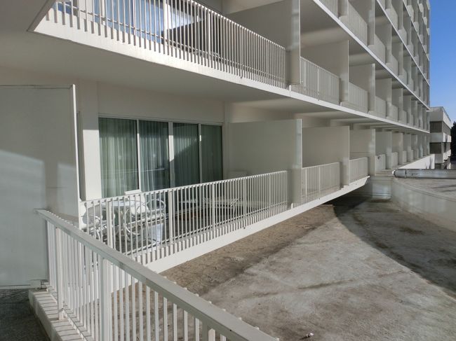 お隣さんに、こんにちわしちゃうわ〜汗