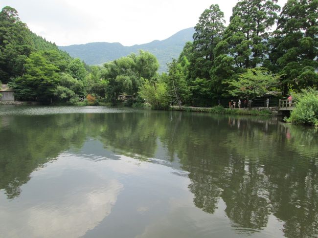 チェックインにはまだ早いのですが荷物を預けて金鱗湖へ向かうことにしました。<br />ホテルで道順を確認したのですが、途中でちょっと迷いました。でもなんとか到着。<br />想像していたのよりずい分小さい湖でした。