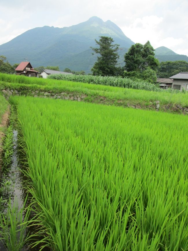 駅前は観光客であふれていましたが少し歩くだけで、のどかな風景が広がっています。