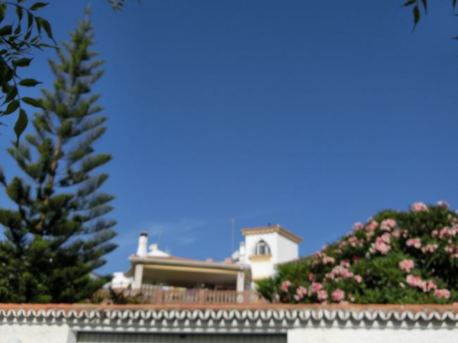 昨日、曇り空のもとてくてくしましたが。