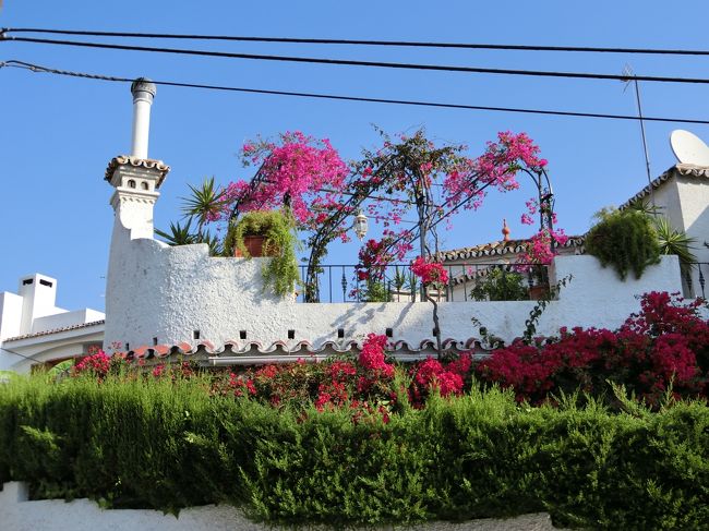 空の色が違うだけで、全然違う場所に見えます！