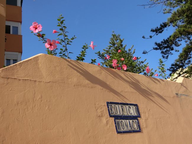 白だけでなく、ブラウンのようなオレンジのような色も似合うねっ