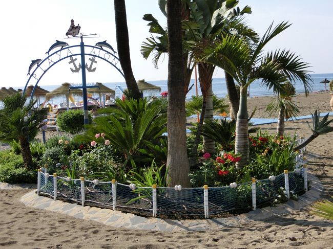 花壇も、南国してます。