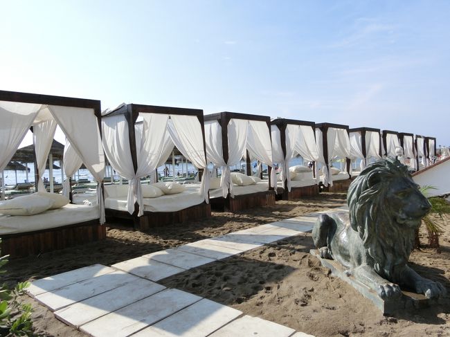 ベッドのようなものが沢山並んでいますね。<br /><br />ライオンさんもいるし・・・