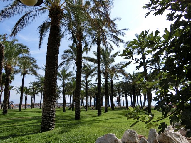 青空だけではなく、緑も美しい♪