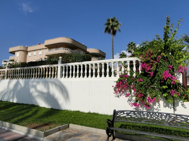 白い壁と、お花も〜