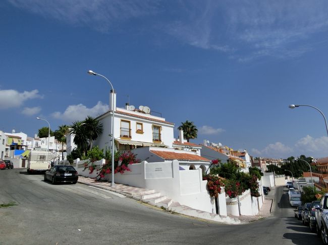 昨日もここから撮りましたが、今日は輝いていますね！