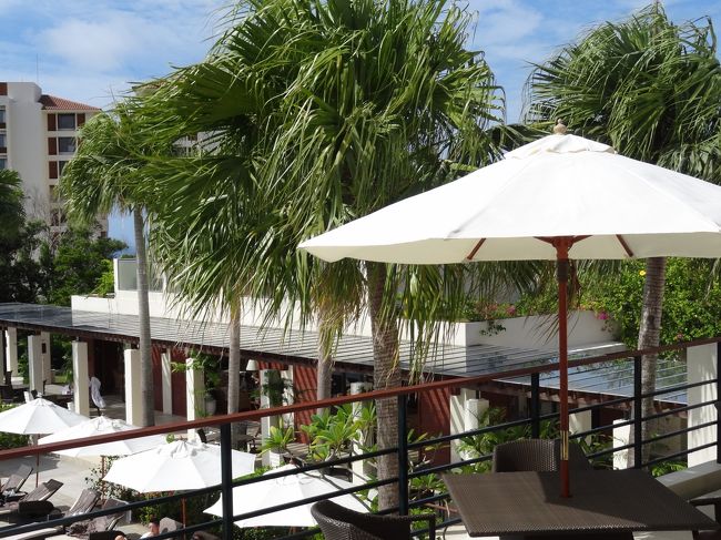 レセプションからの景色です。<br />右の建物はライブラリー兼ラウンジです。