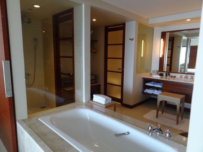 バスタブの横にシャワールームがあります。