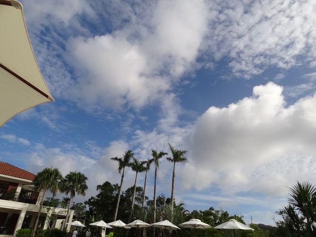 日常とは違う景色でリゾート満喫中( ^ω^ )