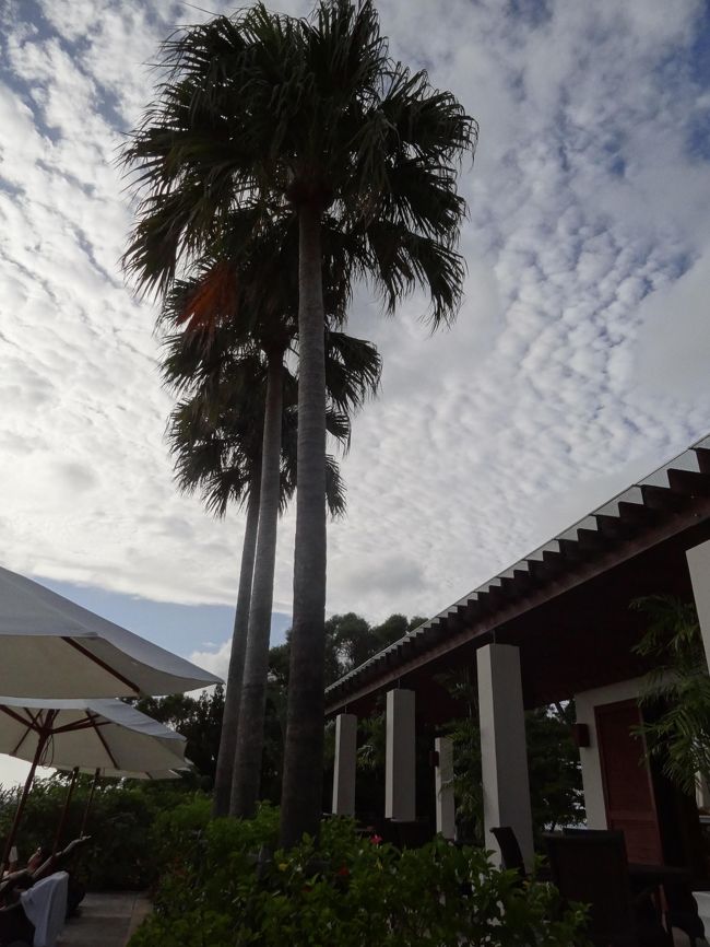 プールも多少楽しみ、ディナーの前にラウンジで<br />カクテルタイムを楽しもうと一旦お部屋へ〜。