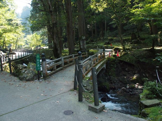 周辺の木立が陽をさえぎり　とても涼しいです。<br /><br />少し歩くと　突き当りが　寂光苑。