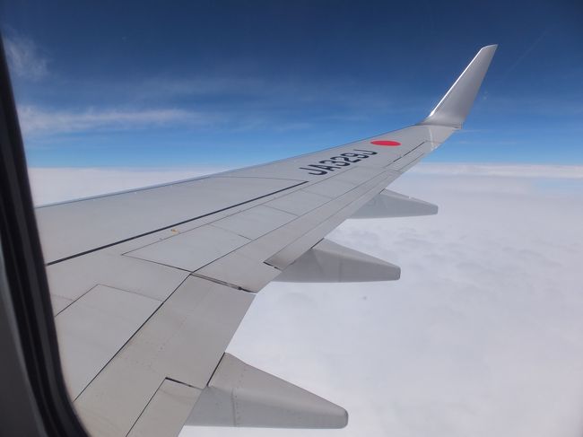 北海道上空。（もちろん離陸時は撮ってませんよ）<br /><br />1年に一回のご褒美♪今年は、4泊5日。昨年より1日多いね。<br /><br />旭川空港まで約2時間掛かる我が家は、朝早くに家を出ないと夕方までに<br />沖縄に着けません。これが結構辛い･･･。<br />JALさん、今年もよろしくね〜