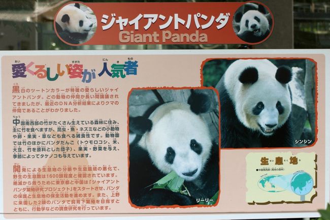 初めて手にする望遠レンズ 70 300mm をもって 上野動物園で試し撮り 上野 御徒町 東京 の旅行記 ブログ By まみさん フォートラベル