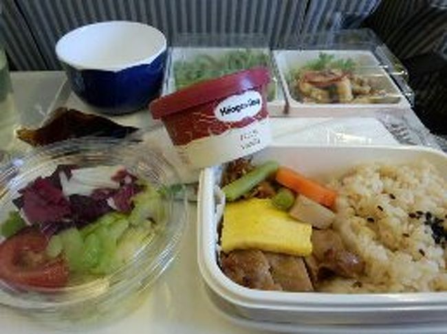 帰りのJALですがハーゲンダッツでテンション上がりました。