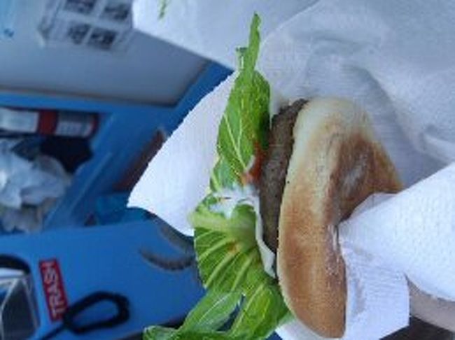 お昼はハンバーガーです。<br /><br />私たちがイルカを追いかけてる間にキャプテンが作ってくれます