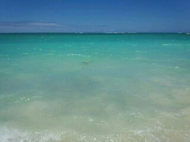 島からカヤックでラニカイビーチを目指します。<br /><br />見えにくいけどウミガメと遭遇<br /><br />この後カヤックをラニカイビーチで停泊して<br />浜辺でゆっくり。<br /><br />ウミガメが５匹位いました。<br /><br />泳いでいて顔あげたらウミガメと目が合った(笑)<br /><br />良い思い出になりました。