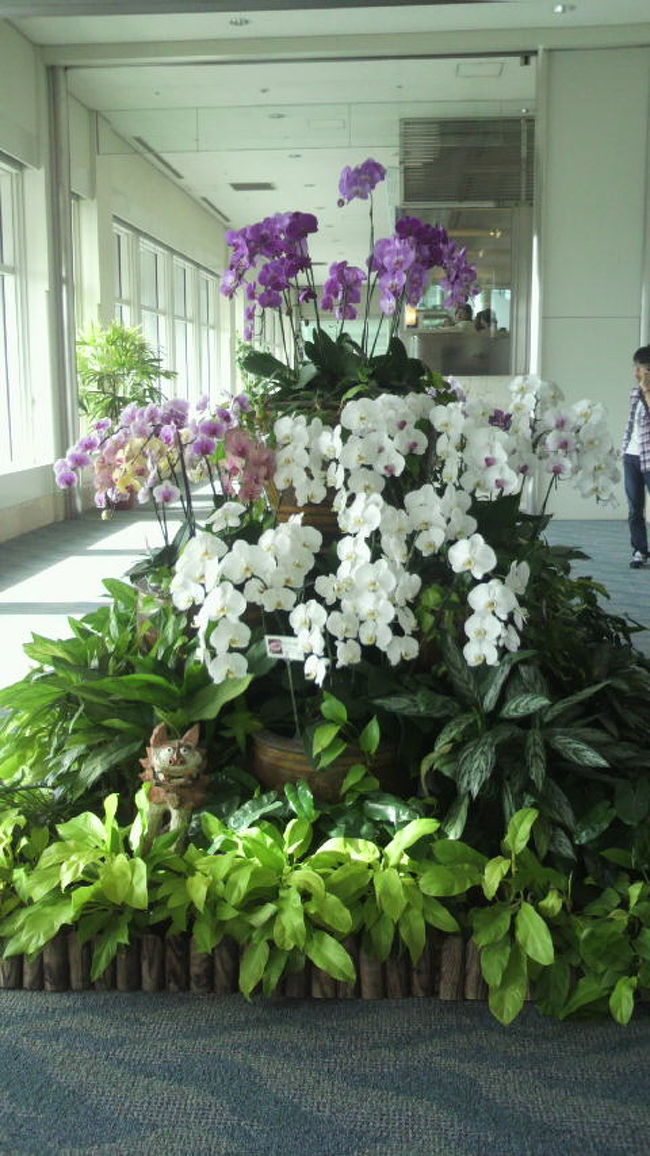 那覇空港。<br /><br />15:55着。3度目にもなると慣れたもので、バックを受け取り<br />さっさとレンタカー会社への送迎場所に移動します。<br /><br />今年は○ネットレンタカーさんという所から借りたのですが<br />これが･･･。値段には満足なんですが、対応がやっつけ仕事感<br />ありありです。説明が早口すぎて、まず聞き取れません（笑）<br /><br />　　　　　　　　　　　4泊5日　15,600円（ガソリン別）也