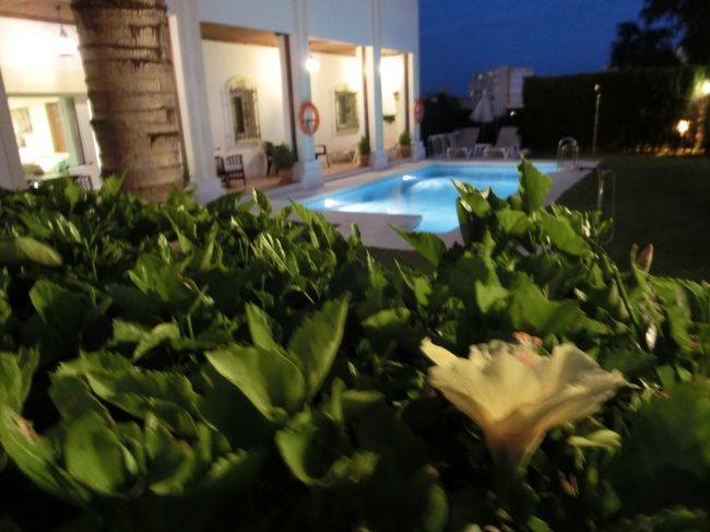 夜、戻ってきてからまたホテルのお写真です。<br /><br />夜もステキ〜