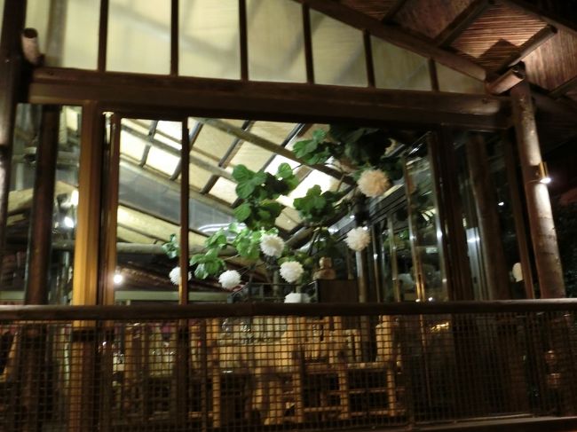 海岸沿いは歩くのにまったく不安がありません。