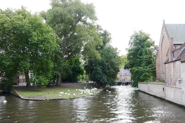 ●愛の湖公園<br /><br />水が濁っていて愛とは遠い感じ・・