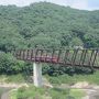 楽しい乗り物に乗ろう！　　水陸両用バス「湯西川ダックツアー」　　～湯西川・栃木～